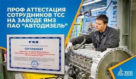 Советы автолюбителям по эксплуатации ЗАЗ Шанс 1.5