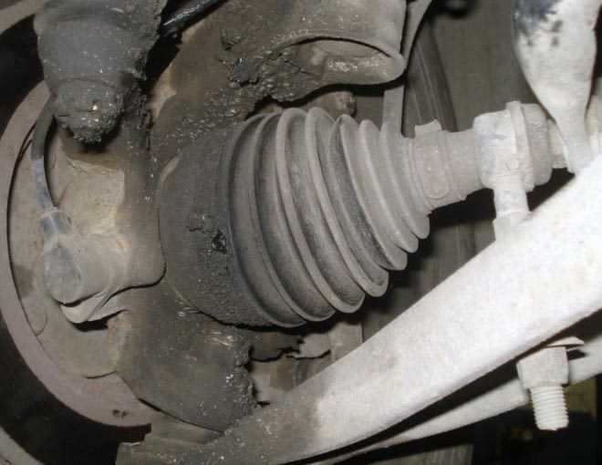 Раздел 1: Почему важно знать о пыльниках шруса